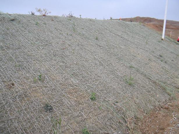 Straw Blankets